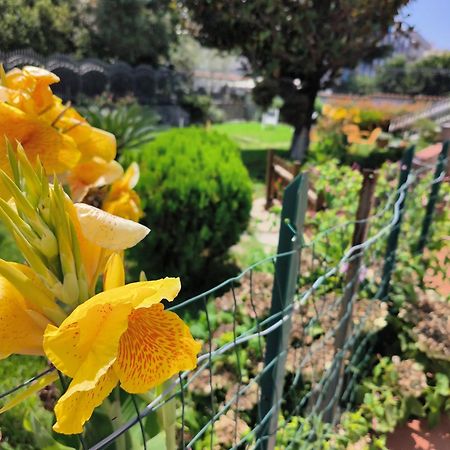 Апартаменты I Giardini Di Plinio - Elegante E Luminoso. Боскореале Экстерьер фото